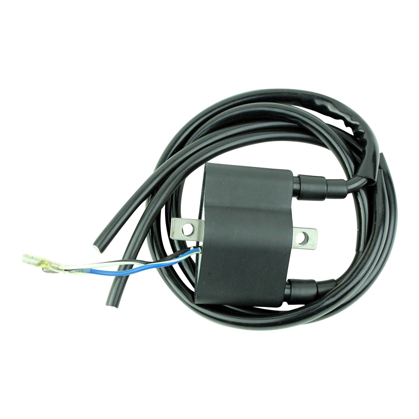 Ignition Coil and CDI Module for Arctic Cat Bearcat Snowmobiles