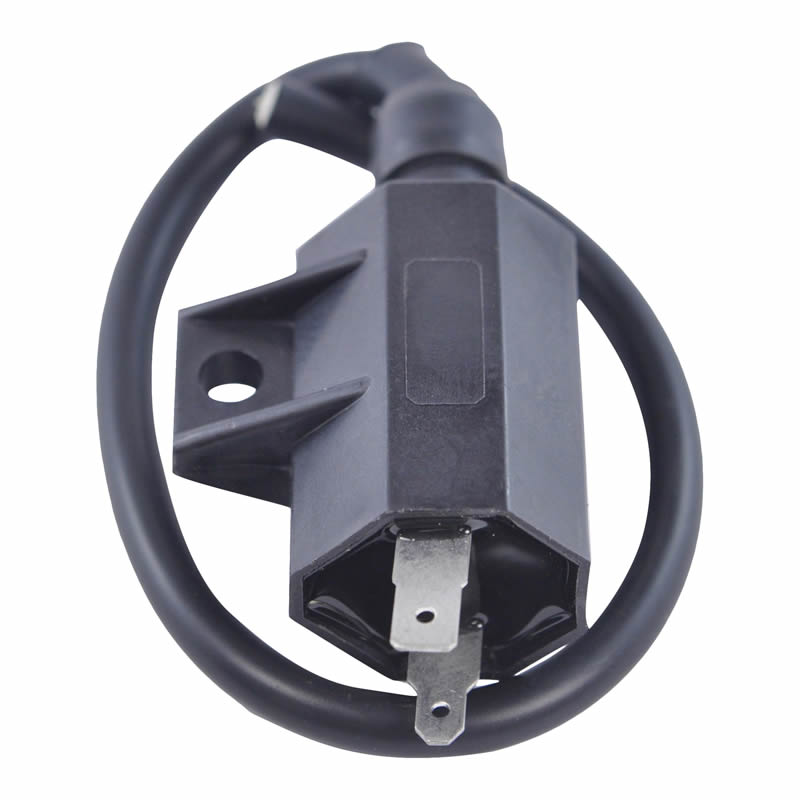 Black ignition coil with two metal terminals and attached cable on white background