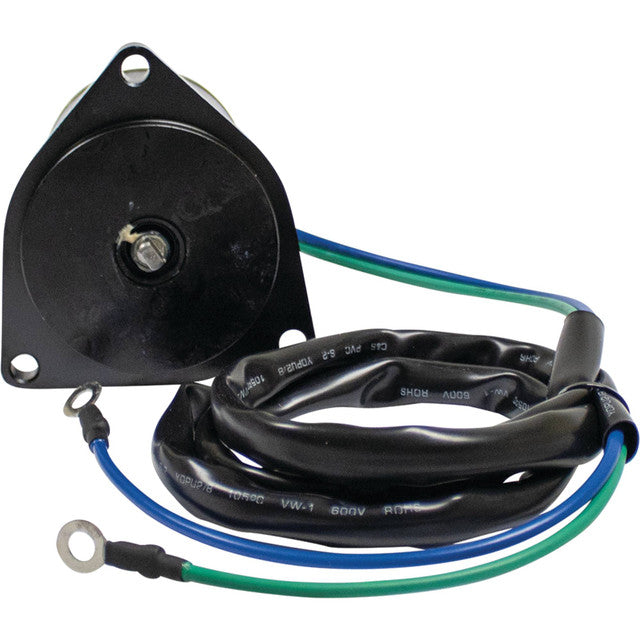 Power Tilt Trim Motor for Yamaha 40-90HP Outboard 6H1-43880-02 6H1-43880-00 12V