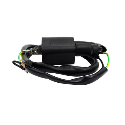 External Ignition Coil for Ski-Doo Citation (E LS LSE) Safari Citation (E) Tundra (LT) 250