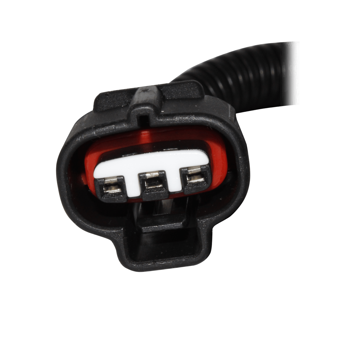 Generator Stator for Honda CRF 1000 Africa Twin Automatic Replacement