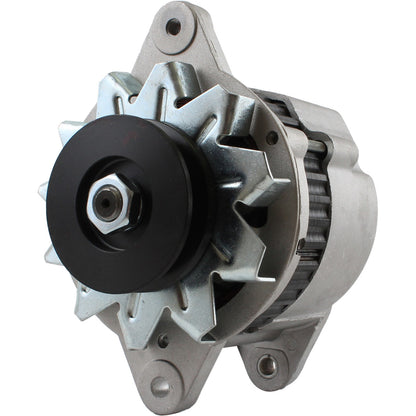 Alternator for TCM FD20Z FD25Z FD30Z Lift Trucks Isuzu 4JB1 - 24V 20A