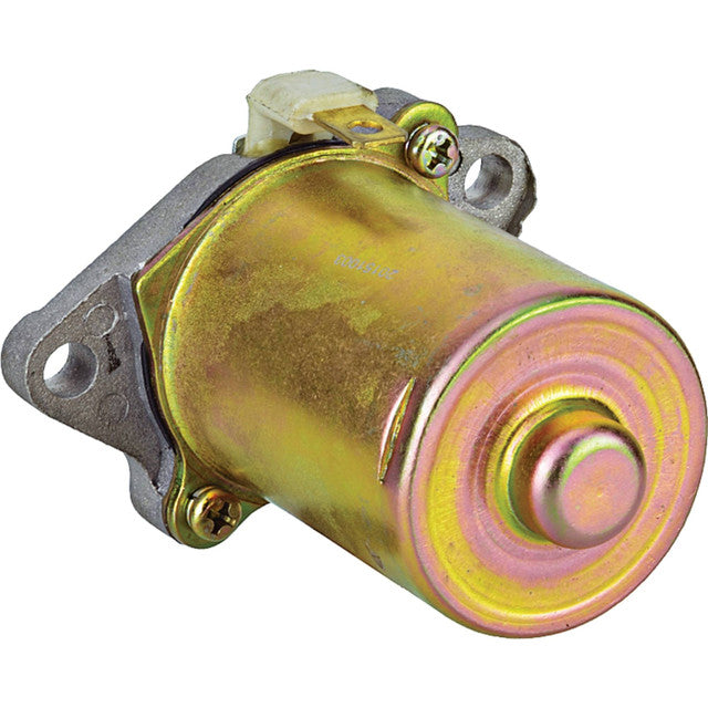 Starter Motor for 50cc 70cc 90cc 110cc 125cc Chinese ATV Scooter Dirt Bike 19590