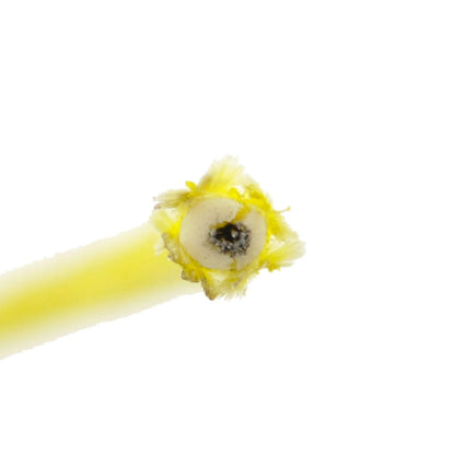 Stator Ignition Source Coil RM00007 for Suzuki LT250R Kawasaki KDX200 Yamaha Moto 4