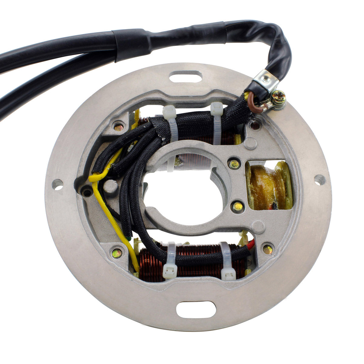Ignition Stator for Arctic Cat Cheetah Cougar Mountain Cat Jag Pantera Prowler ZL 440 1990