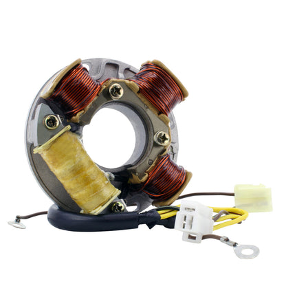Stator for Ski-Doo Formula MX 467 537