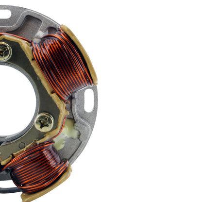 Stator for Ski-Doo Formula MX 467 537