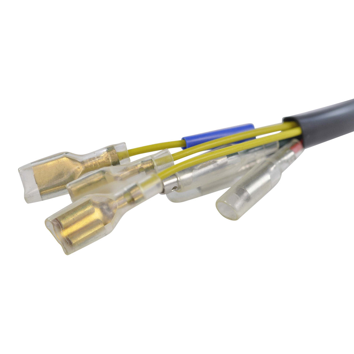 Improved Lighting Stator for SEM Replacement Husaberg Husqvarna European Models 1999-2003