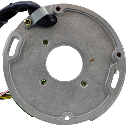 Stator for Arctic Cat Bearcat 440
