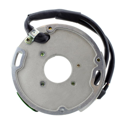 Stator for Arctic Cat Jag 440 Panther 370 / 440 Z 370 / 440 ZR 440 Sno Pro 1999-2008