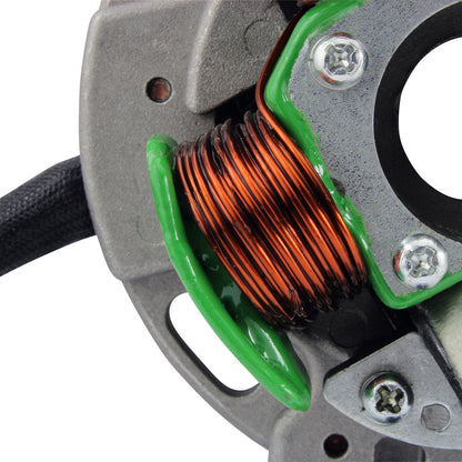 Stator for Suzuki RMX 250 1989-1998