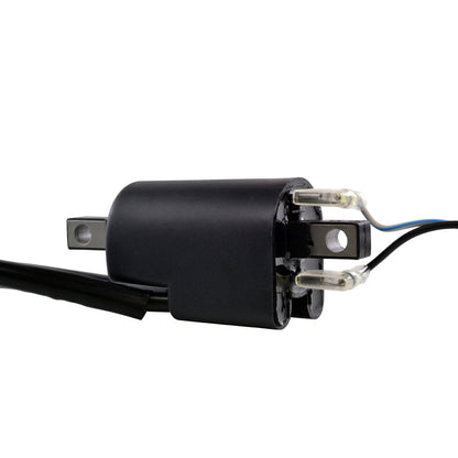 External Ignition Coil for Arctic Cat Jag 3000