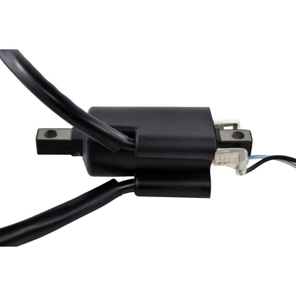 External Ignition Coil for Arctic Cat Jag 3000