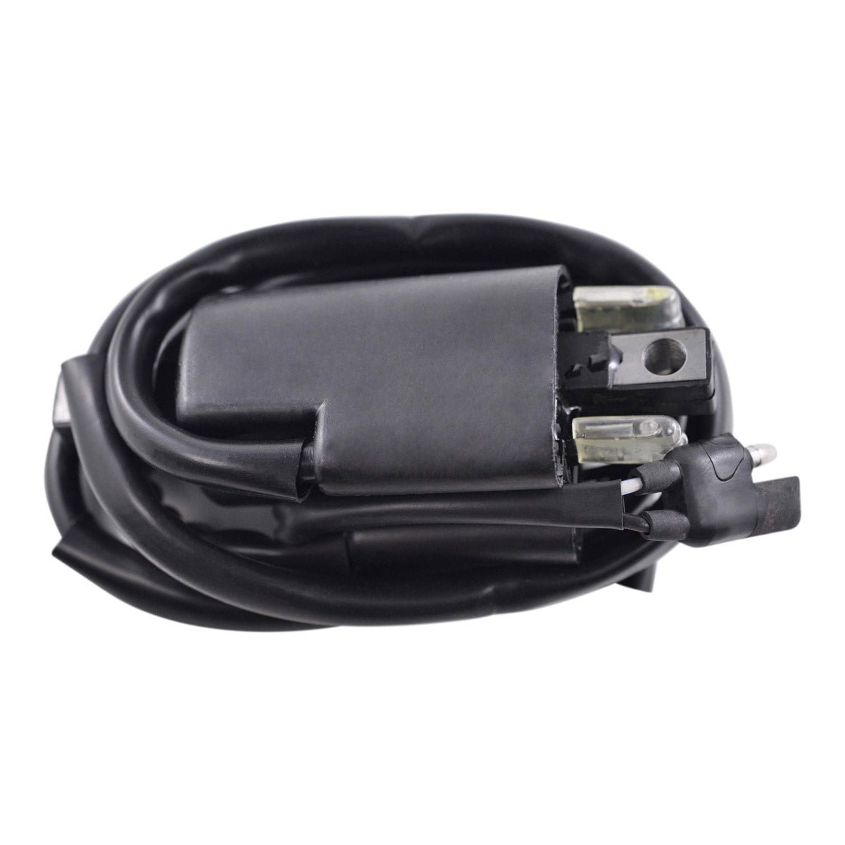 External Ignition Coil for Arctic Cat Jag 3000
