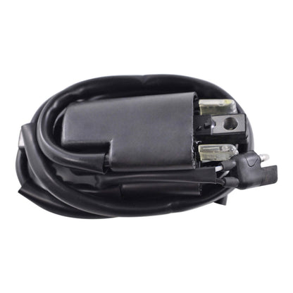 External Ignition Coil for Arctic Cat Jag 3000