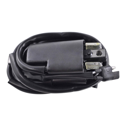 External Ignition Coil for Arctic Cat Jag 3000