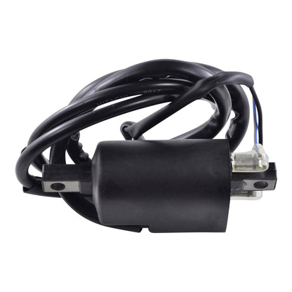 External Ignition Coil for Arctic Cat Jag 3000