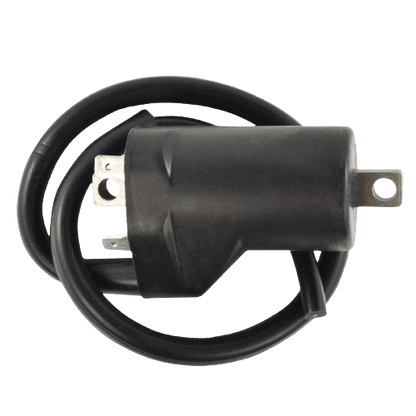 Suzuki Ignition Coil and CDI Module Replacement RM06177