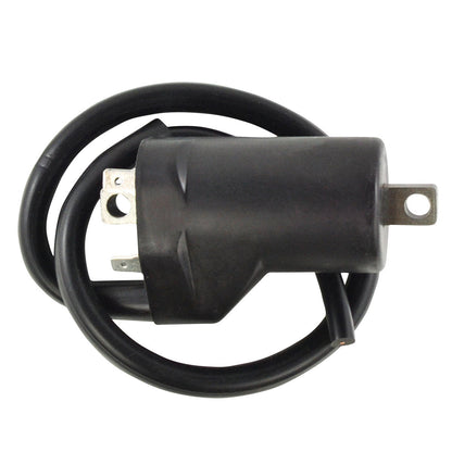 Ignition Coil for Suzuki SV 650