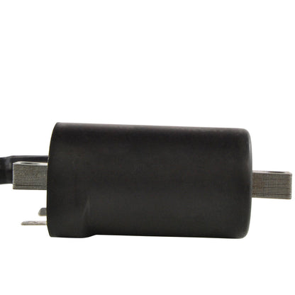 Ignition Coil for Suzuki SV 650