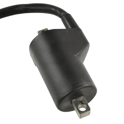Suzuki Ignition Coil and CDI Module Replacement RM06177
