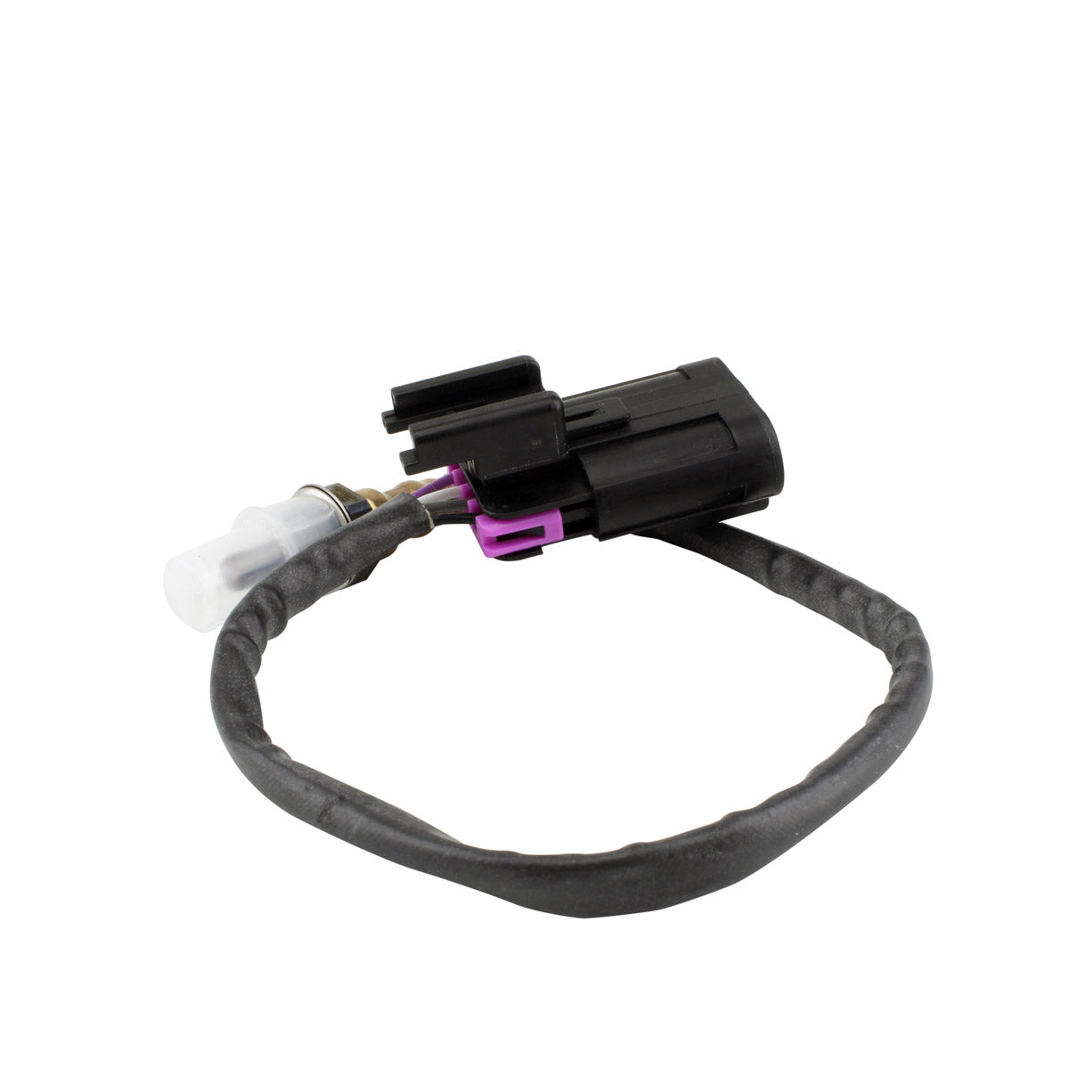 Oxygen Sensor for Indian Chief Classic / Dark Horse / Scout
