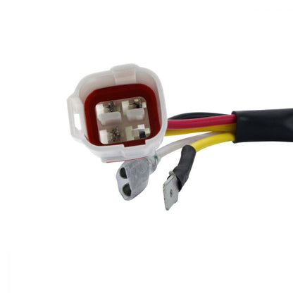 100W AC to DC Conversion Kit with Stator and Regulator for KTM 250, 300, 450 and Compatible Models