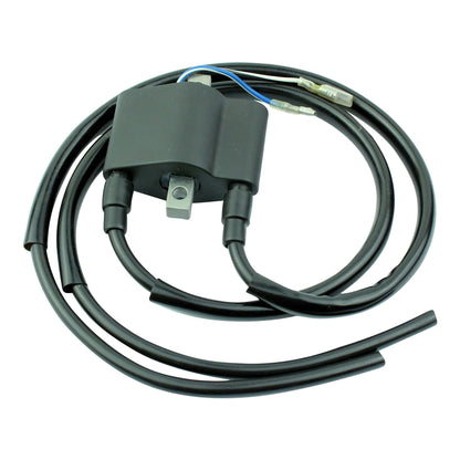 Ignition Coil and CDI Module for Arctic Cat Bearcat Snowmobiles