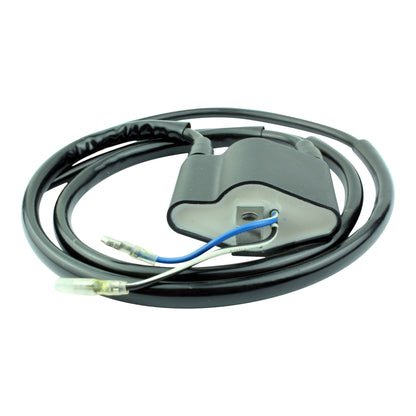 Ignition Coil and CDI Module for Arctic Cat Bearcat Snowmobiles
