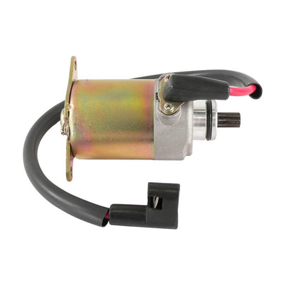 Starter Motor For Baja / Dingo / Falcon