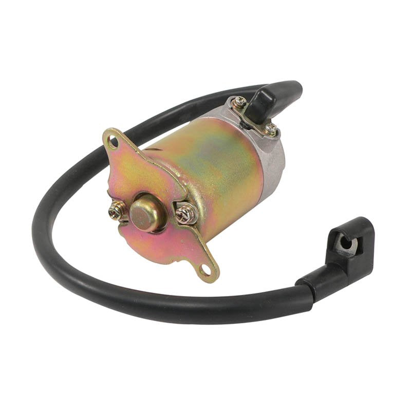 Starter Motor For Baja / Dingo / Falcon