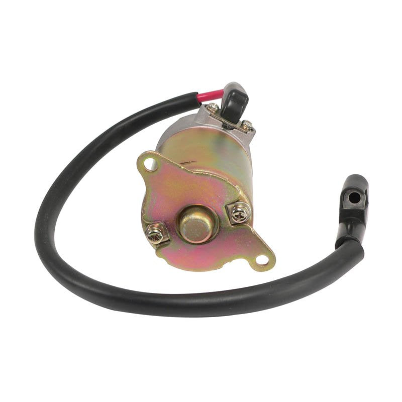 Starter Motor For Baja / Dingo / Falcon