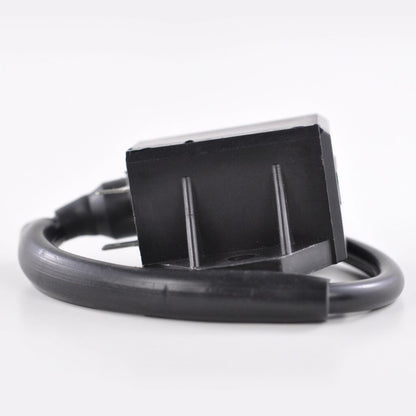 Ignition Coil Suzuki King Quad 400 Eiger 400 2002-2010 OEM Repl 33410-41D20