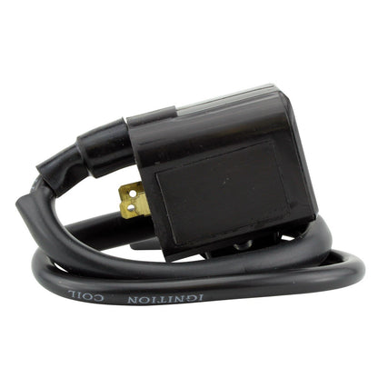 Ignition Coil and CDI Module for Polaris ATV Models 2004-2014