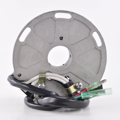 Lighting Stator for Suzuki RM 250 and RM 125 Motorcycles
