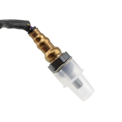 Oxygen Sensor for Indian and Polaris Motorcycles - Chief Classic Dark Horse Compatible
