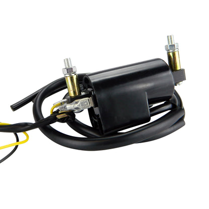 Pillar Type Electronic Ignition Conversion 1 Ohm Dual Lead 6V CDI Module for Honda, Kawasaki, Suzuki, Yamaha