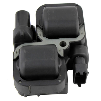 black automotive ignition coil pack with two rectangular coils and connector plug
